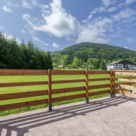 Résidence Le Printemps - Appt Vue Montagne * Ventron